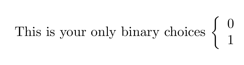 equation format 2